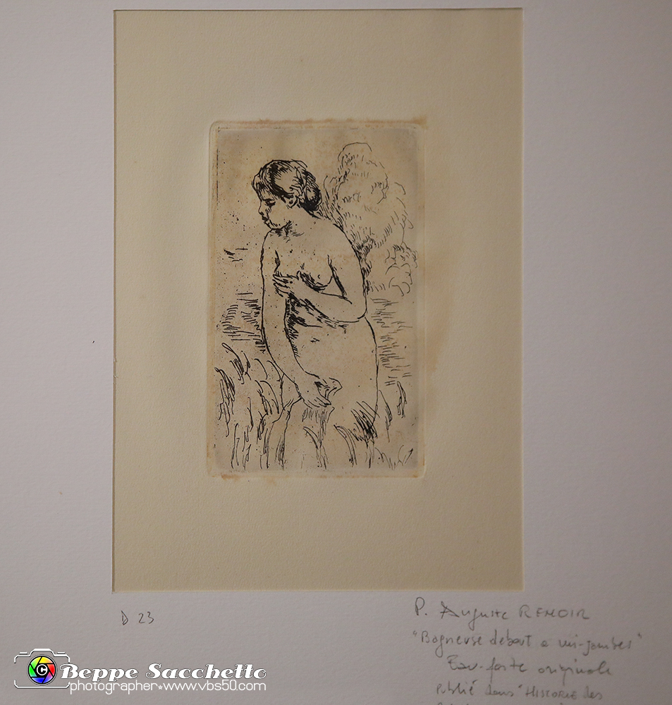 VBS_9794 - Impressionisti. Tra sogno e colore.jpg